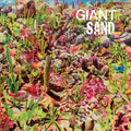 Giant Sand  Returns To the Valley of Rain