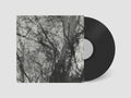 Grouper - Way Their Crept