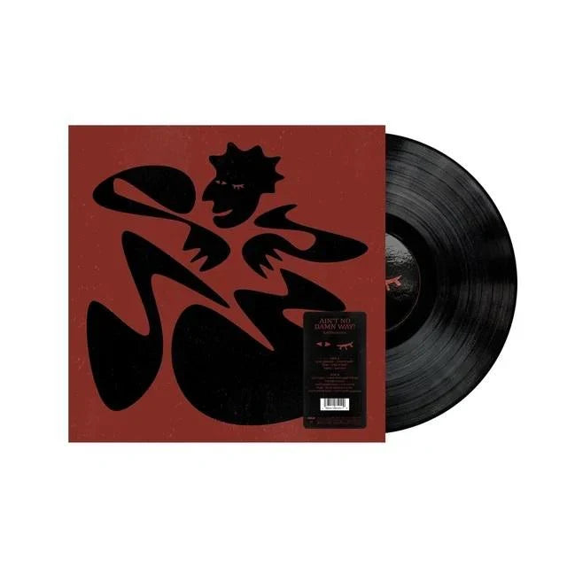 Kaytranada - Ain't No Damn Way!