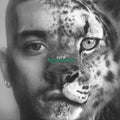 ZAYN - Konnakol (Blooming LP) [VINYL]