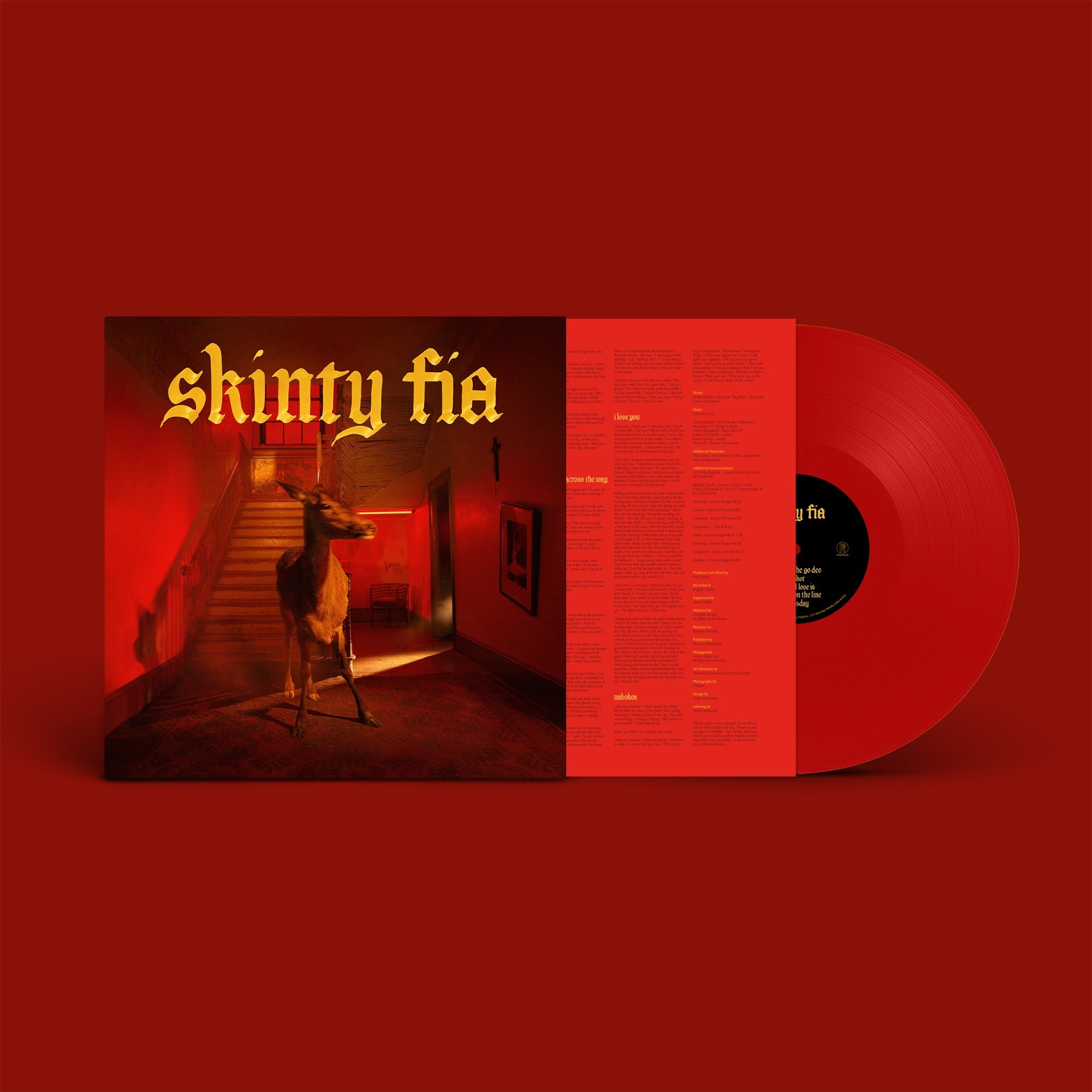 Fontaines DC - Skinty Fia