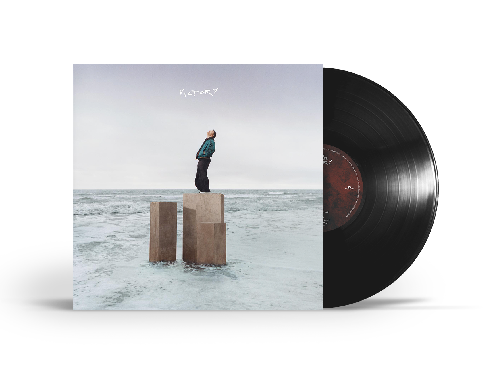 Cian Ducrot - Victory (BLack LP) [VINYL]