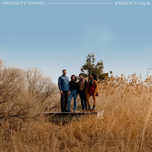 Infinity Song - Essentials [VINYL]