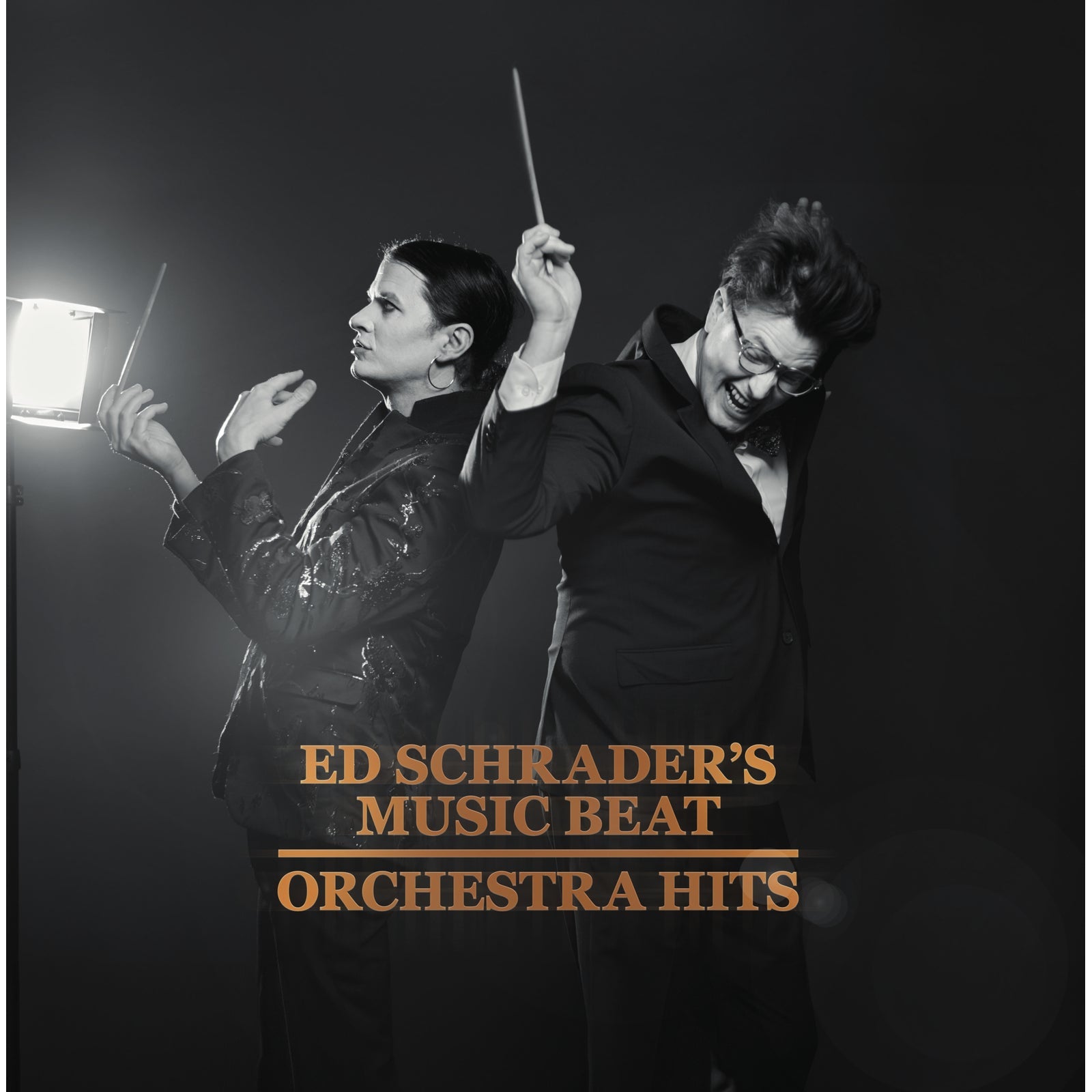 Ed Schraders Music Beat - Orchestra Hits [VINYL]