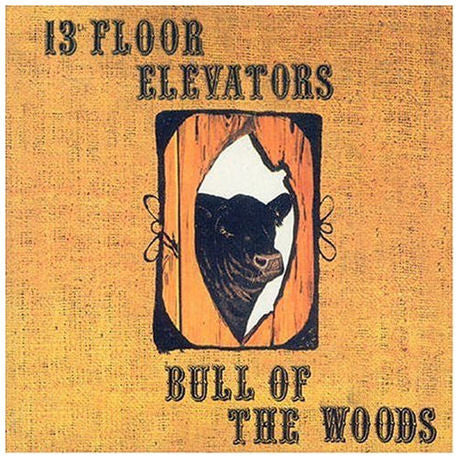 13th Floor Elevators - Bull Of The Woods