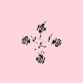 Chain Of Flowers - Let Your Light In / Flesh, Blood and Bone [VINYL]