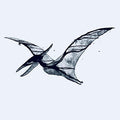 Me Rex - Pterodactyl/Plesiosaur [VINYL]