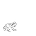 Various - Bull Frogs Croon (And Other Songs) [VINYL]