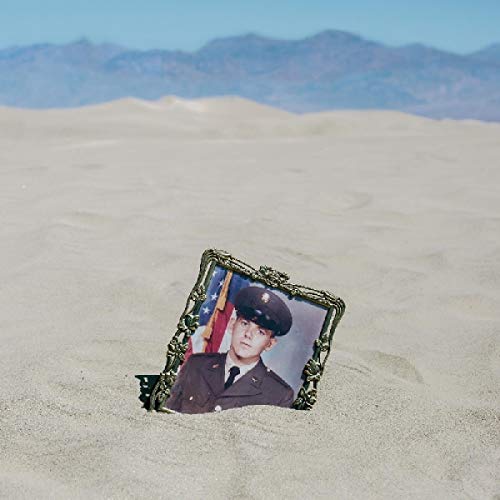 Business Of Dreams - Ripe For Anarchy [VINYL]