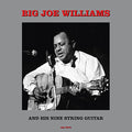 Various - Big Joe Williams And His Nine String Guitar  [VINYL]