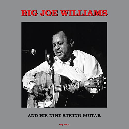 Various - Big Joe Williams And His Nine String Guitar  [VINYL]