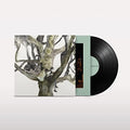 Destroyer - Labyrinthitis [VINYL]