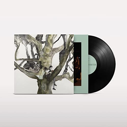 Destroyer - Labyrinthitis [VINYL]