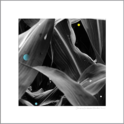 Arthur King - Changing Landscapes (Wauters Farm) [VINYL]