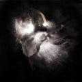 Nedry - In A Dim Light [VINYL]