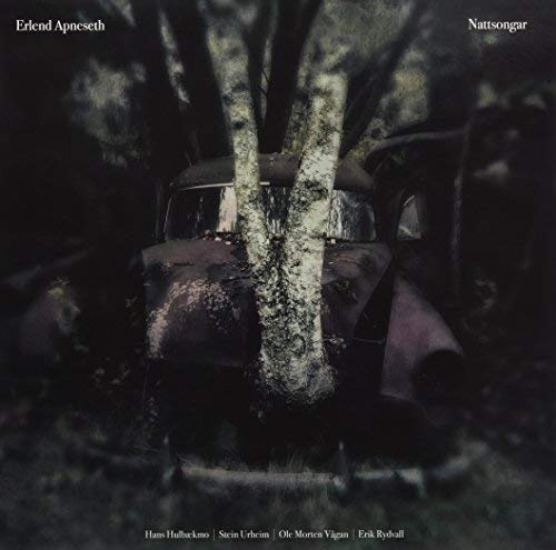 Erlend Apneseth - Nattsongar  [VINYL]
