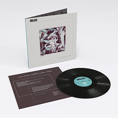 Midlake - For The Sake Of Bethel Woods [VINYL]