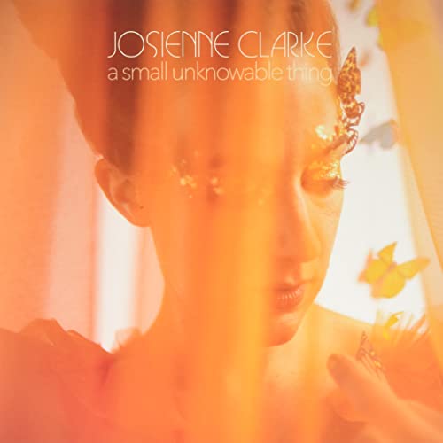 Josienne Clarke - A Small Unknowable Thing [VINYL]