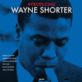 Various - Introducing [VINYL]