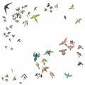 Modern Nature - No Fixed Point In Space [VINYL]