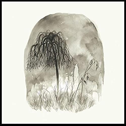 Woodpigeon - T R O U B L E [Vinyl] [VINYL]
