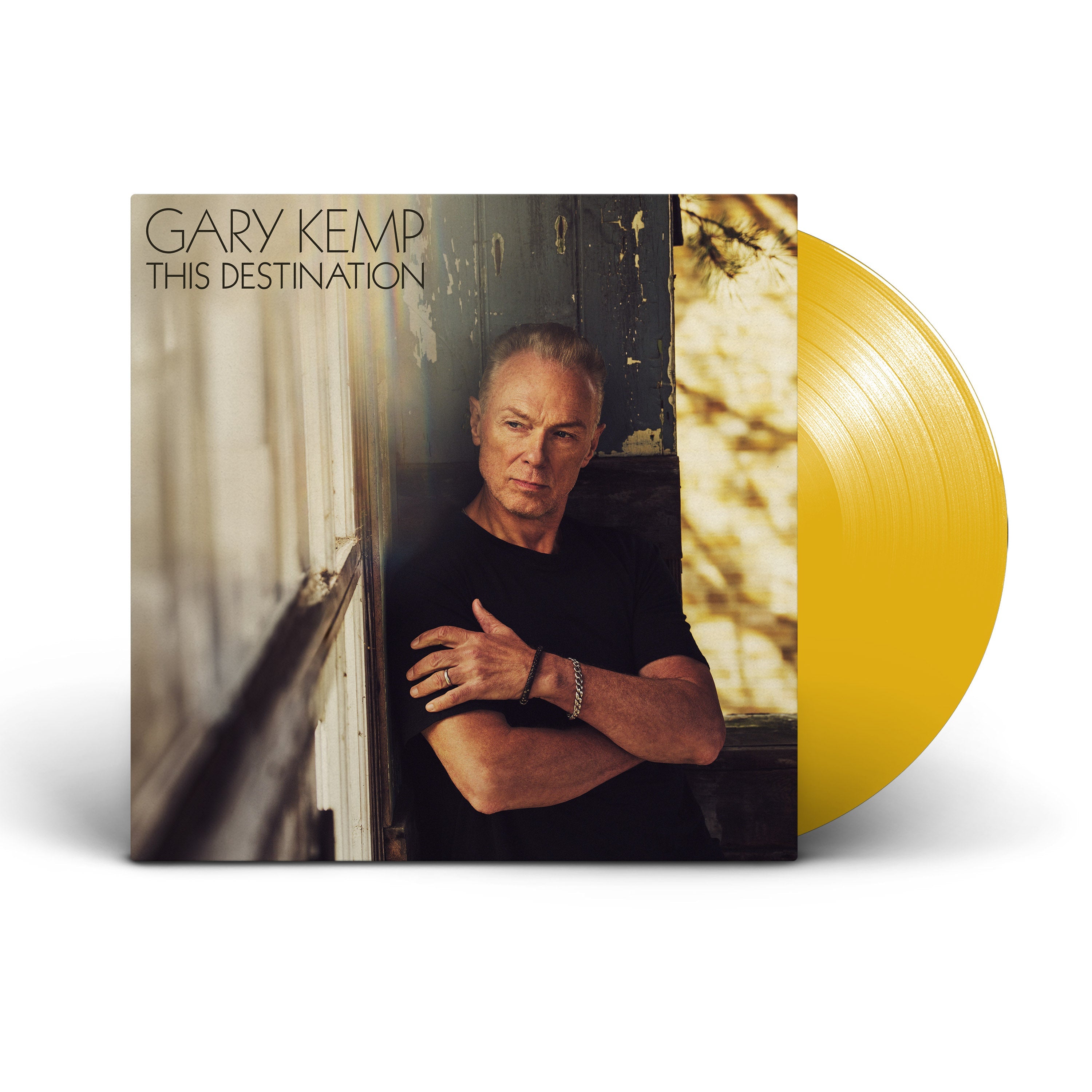 Gary Kemp - This Destination [VINYL]