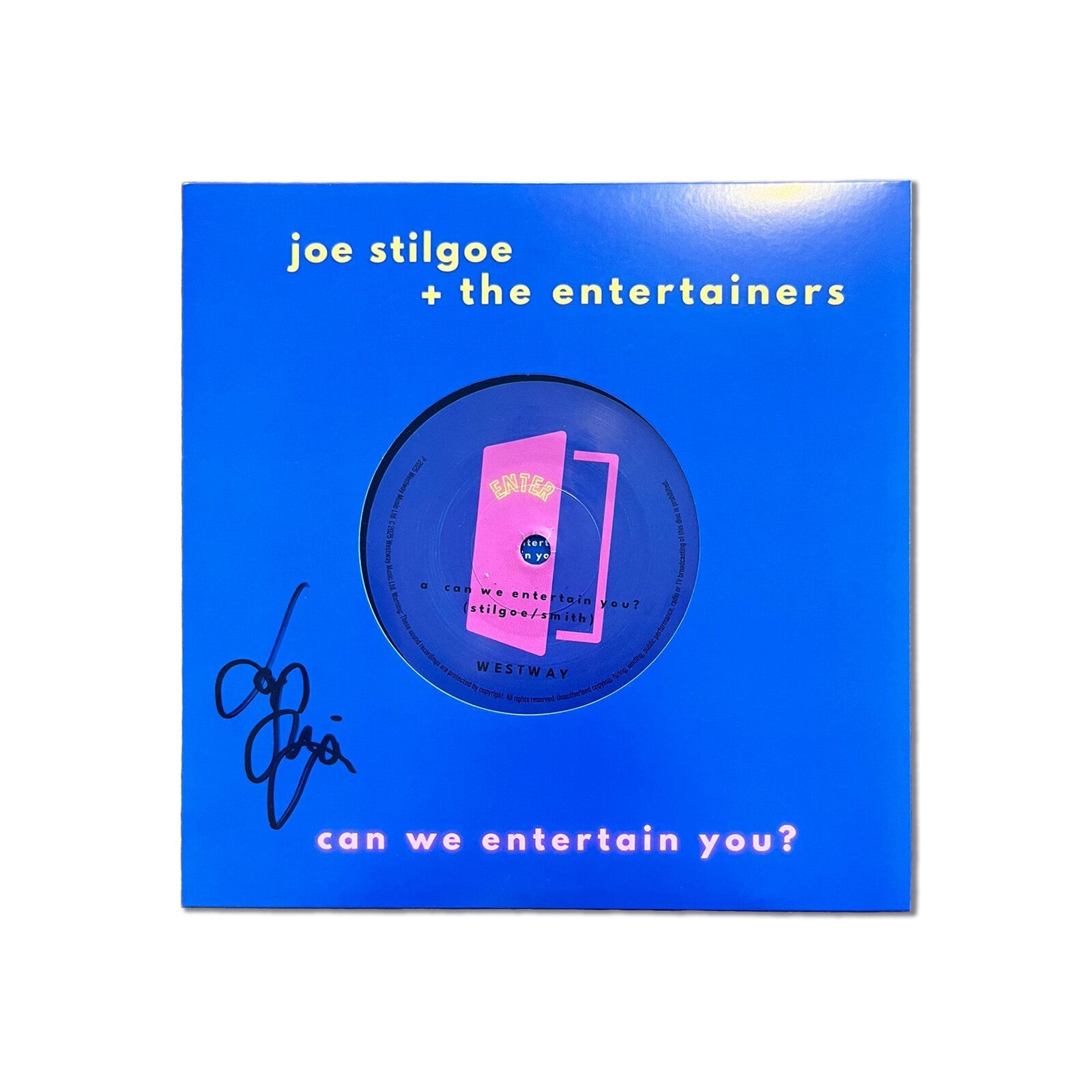 Joe Stilgoe & The Entertainers - Can We Entertain You? [VINYL]