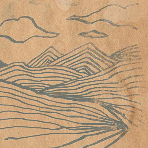 Wooden Wand - Farmers Corner [VINYL]