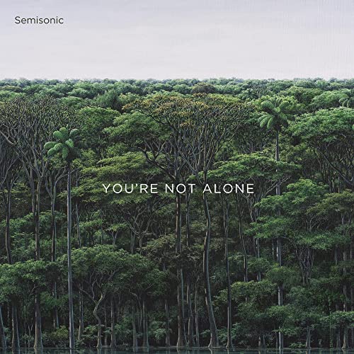 Semisonic - Youre Not Alone [VINYL]