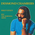Desmond Chamber  - Haly Gully / The Morning Show [VINYL]