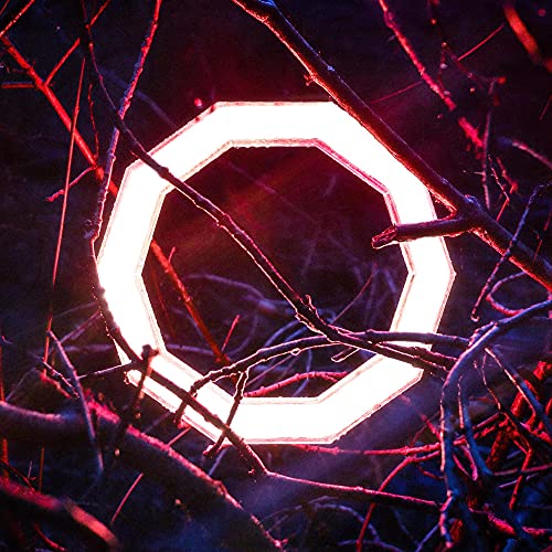 Hybrid Minds - Reflections  [VINYL]