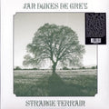 Various - Strange Terrain [VINYL]
