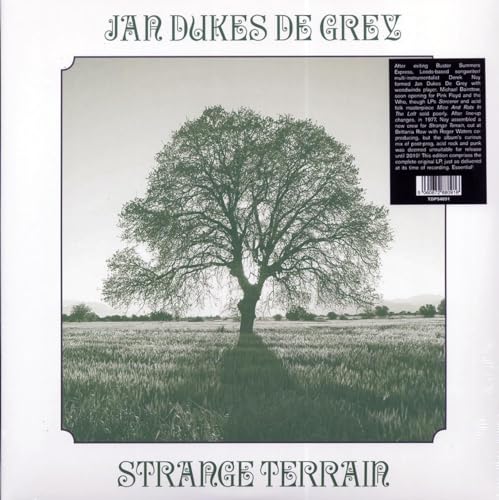 Various - Strange Terrain [VINYL]
