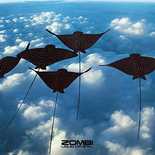 Zombi - Liquid Crystal  [VINYL]