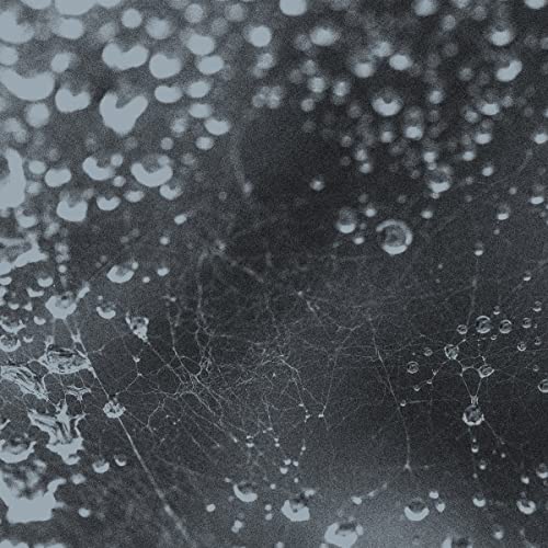 Fujiiiiiiiiiiita - Noiseem [VINYL]