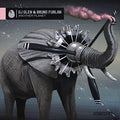 Dj Glen & Bruno Furlan - Another Planet [VINYL]