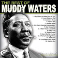 Various - The Best Of Muddy Waters [VINYL]