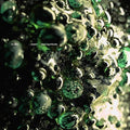 Scaler - Loam / New Symbols [VINYL]