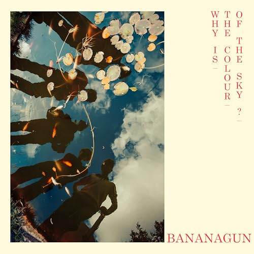Bananagun - Why Is The Colour Of The Sky? [VINYL]