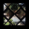 Psychic Temple - III [VINYL]