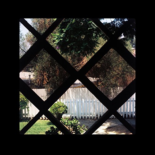 Psychic Temple - III [VINYL]