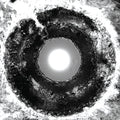 Bastards Of Fate - Suck The Light Out [VINYL]