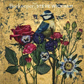Steve Wickham - Beekeeper [VINYL]