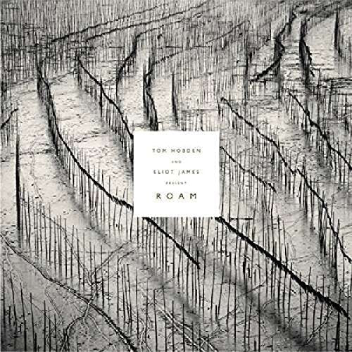 Tom Hobden & Eliot James - Tom Hobden & Eliot James Present: Roam [12"] [VINYL]