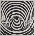Hack Sabbath - Paranoise [VINYL]