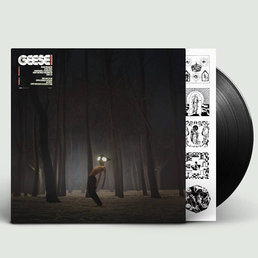 Geese - Projector