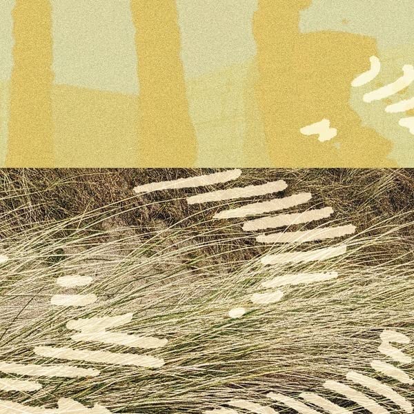 Parris - Terrapin EP [VINYL]