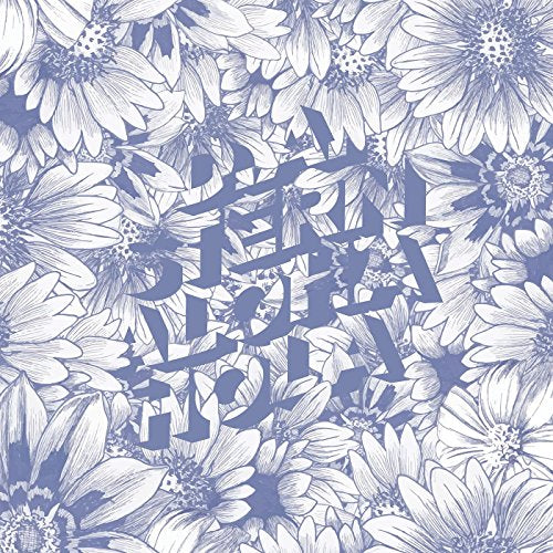 D.A. Stern - Aloha Hola [VINYL]