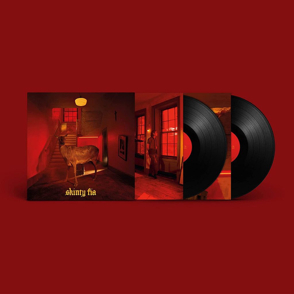Fontaines D.C. ‎– Skinty Fia