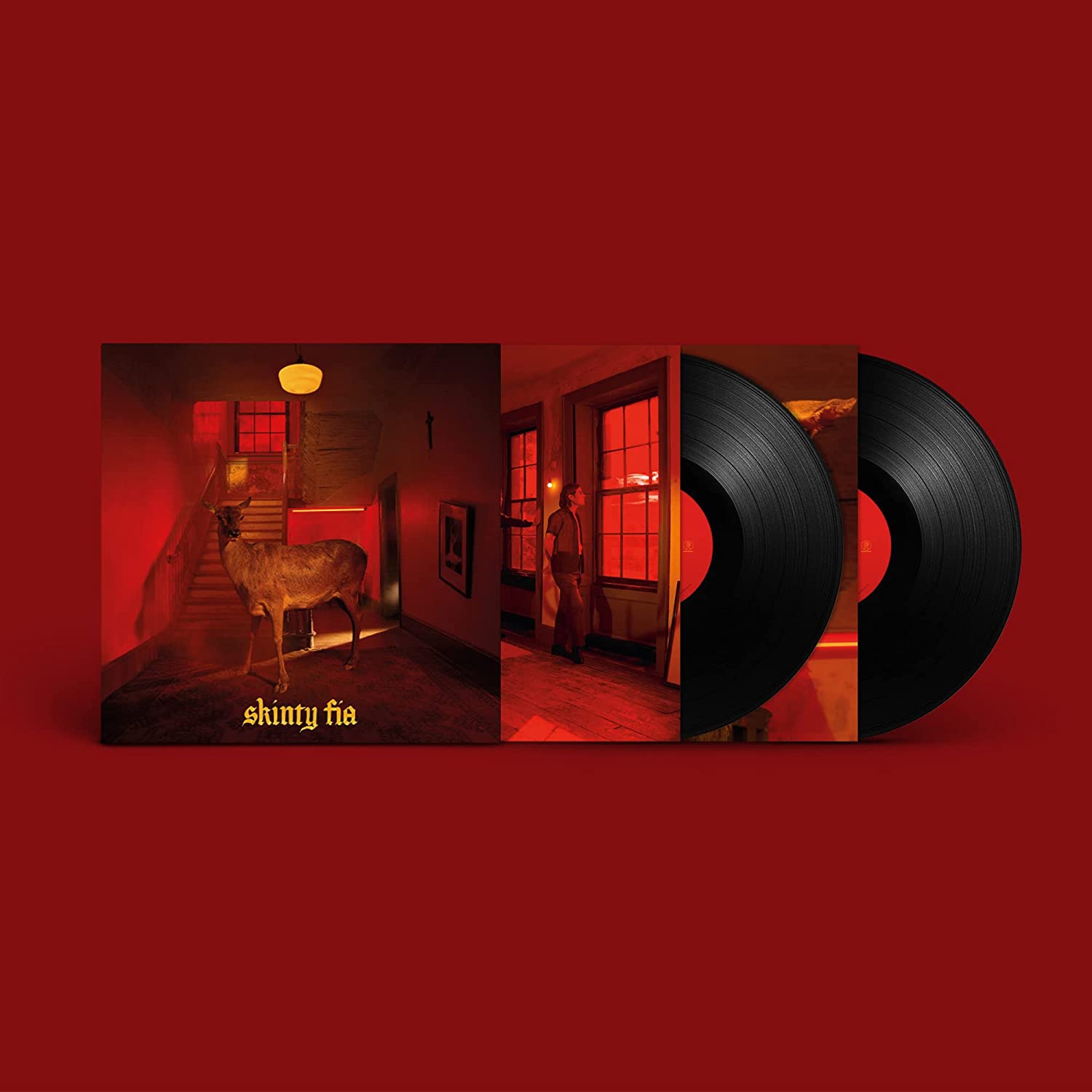 Fontaines D.C. ‎– Skinty Fia